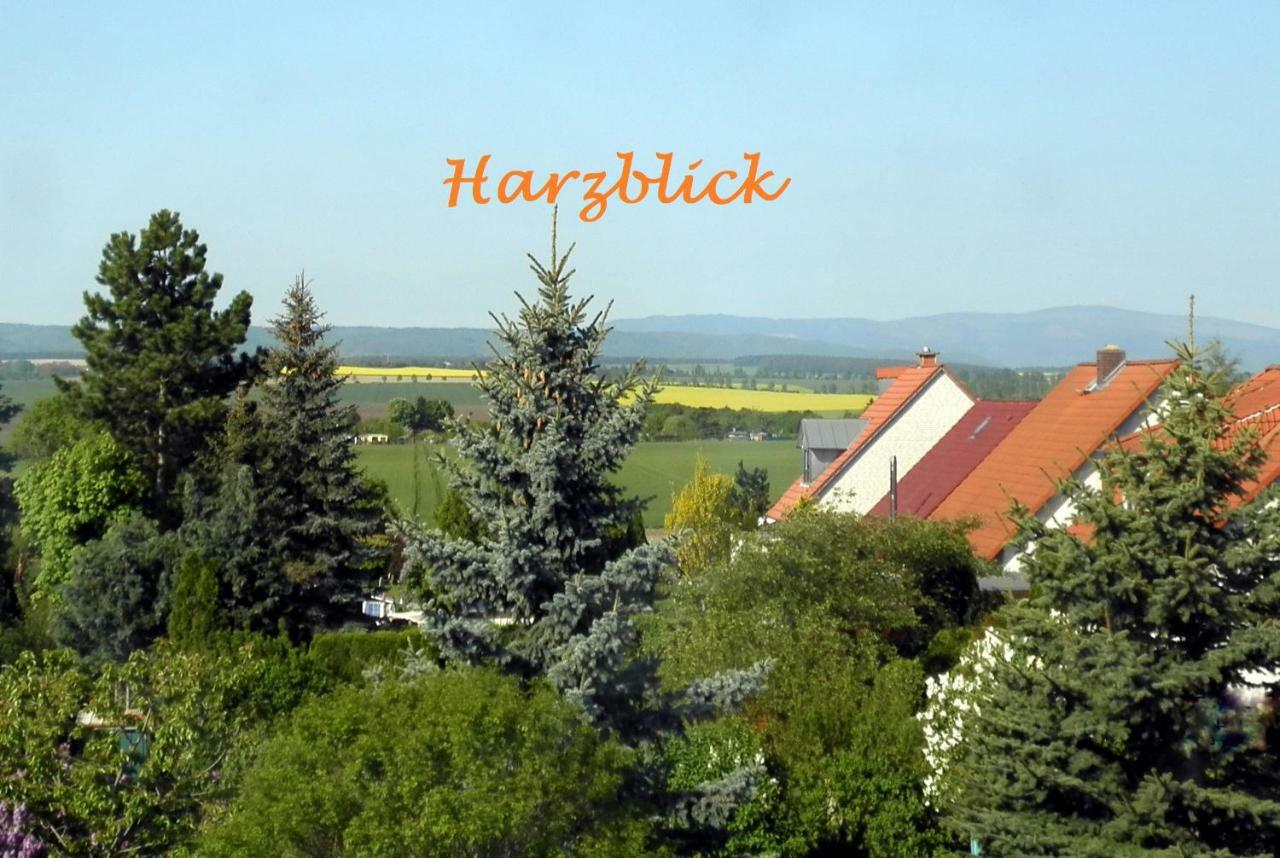 Ferienhaus "Harzblick" Halberstadt Extérieur photo